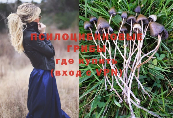 PSILOCYBIN Беломорск