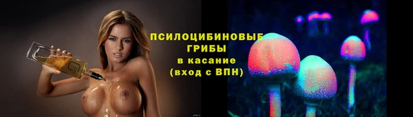 PSILOCYBIN Беломорск