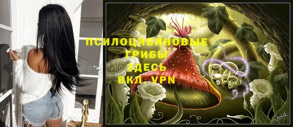 гашик Белоозёрский