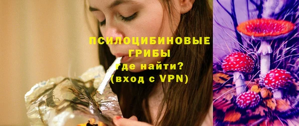 гашик Белоозёрский